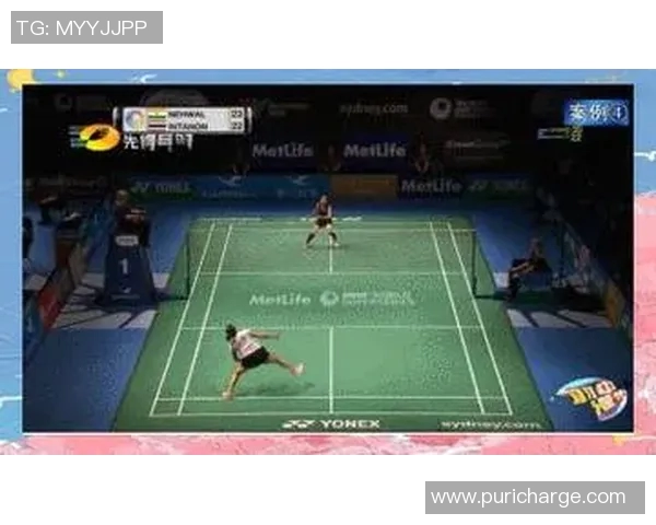 武汉羽毛球队防反打法深度分析与战术解析 武汉羽毛球队防反打法深度分析与战术解析