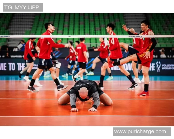 专访李磊揭秘排球成功秘诀与未来发展展望