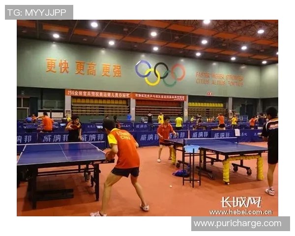 南京乒乓球队耐力对比深度解析与训练方法探讨