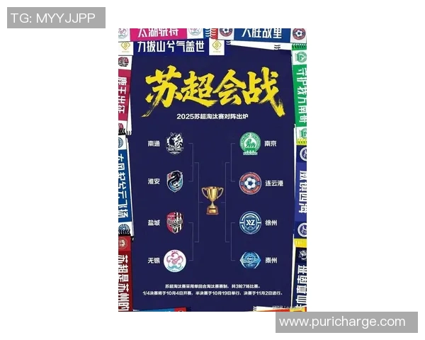 南京排球队在总决赛积分榜上以70分稳居第一名引发关注