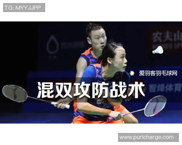 成都羽毛球队反击战术深度解析与实战应用探讨