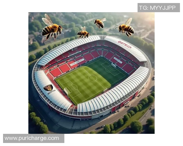 探索mkf足球的魅力与激情,带你领略不一样的足球世界与精彩赛事体验 探索mkf足球的魅力与激情,带你领略不一样的足球世界与精彩赛事体验