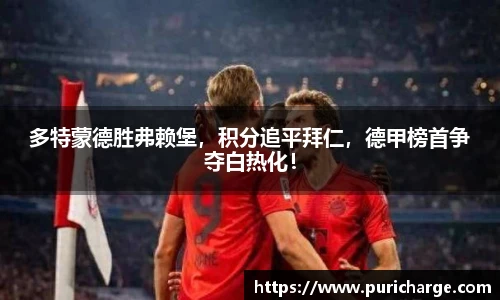 智博19有限公司