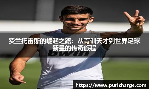 智博19有限公司