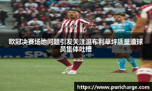 智博19