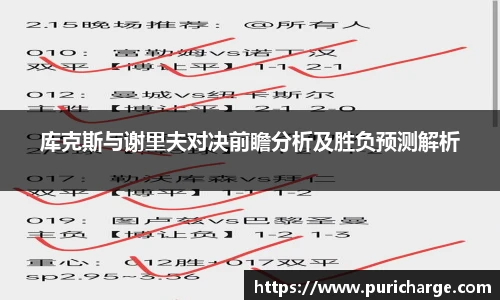 智博19有限公司