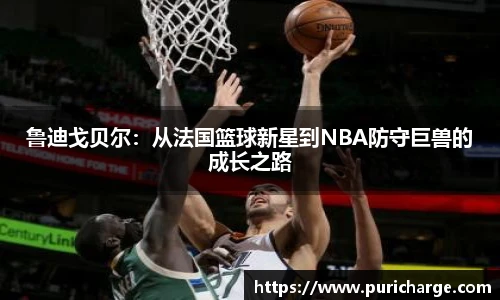 鲁迪戈贝尔：从法国篮球新星到NBA防守巨兽的成长之路